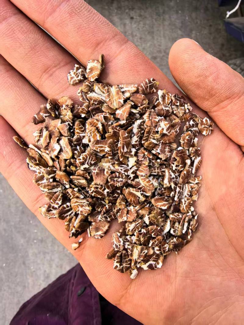 【精选】优质燕麦片各个品种规格齐全货源充足可视频看货