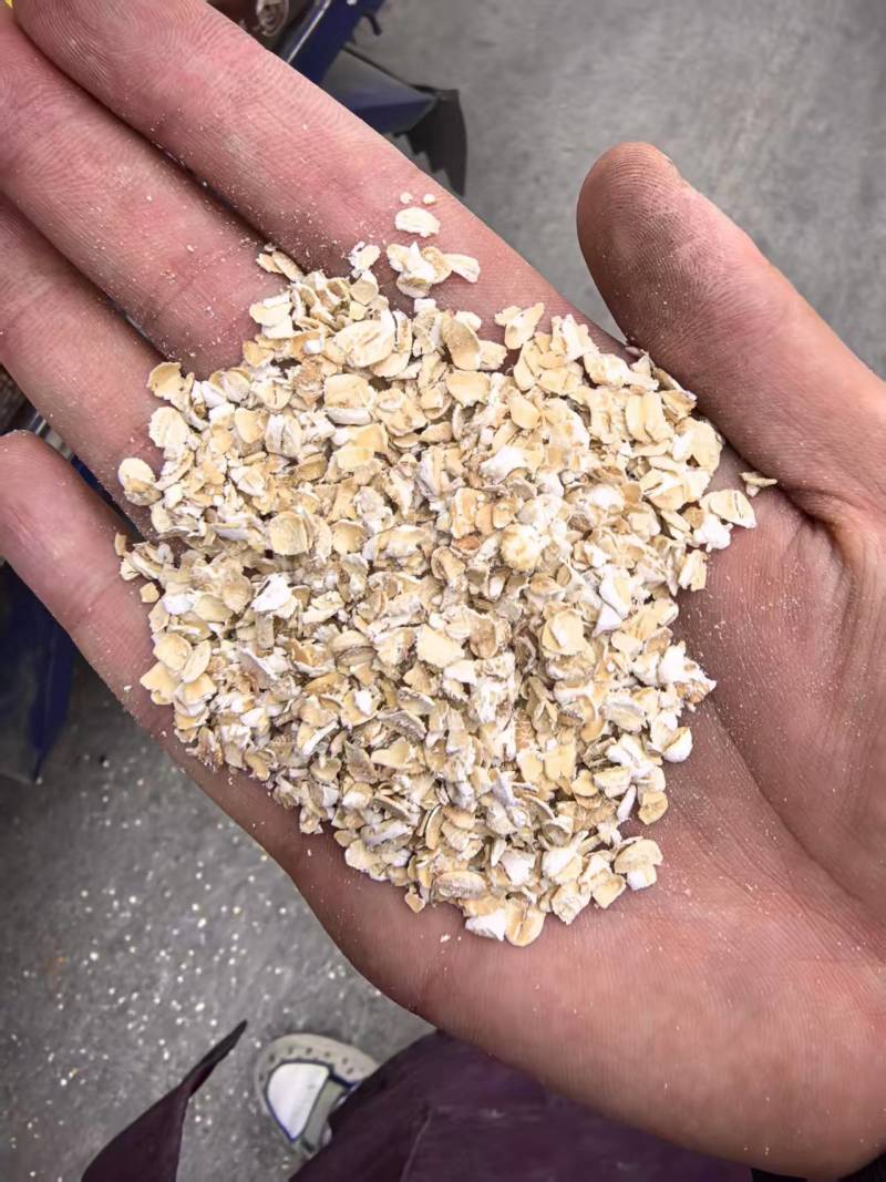 【精选】优质燕麦片各个品种规格齐全货源充足可视频看货