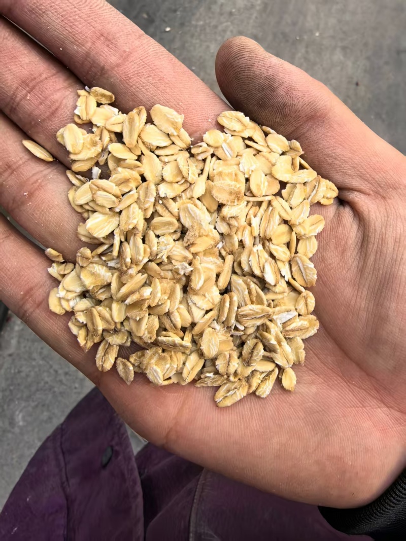 【精选】优质燕麦片各个品种规格齐全货源充足可视频看货