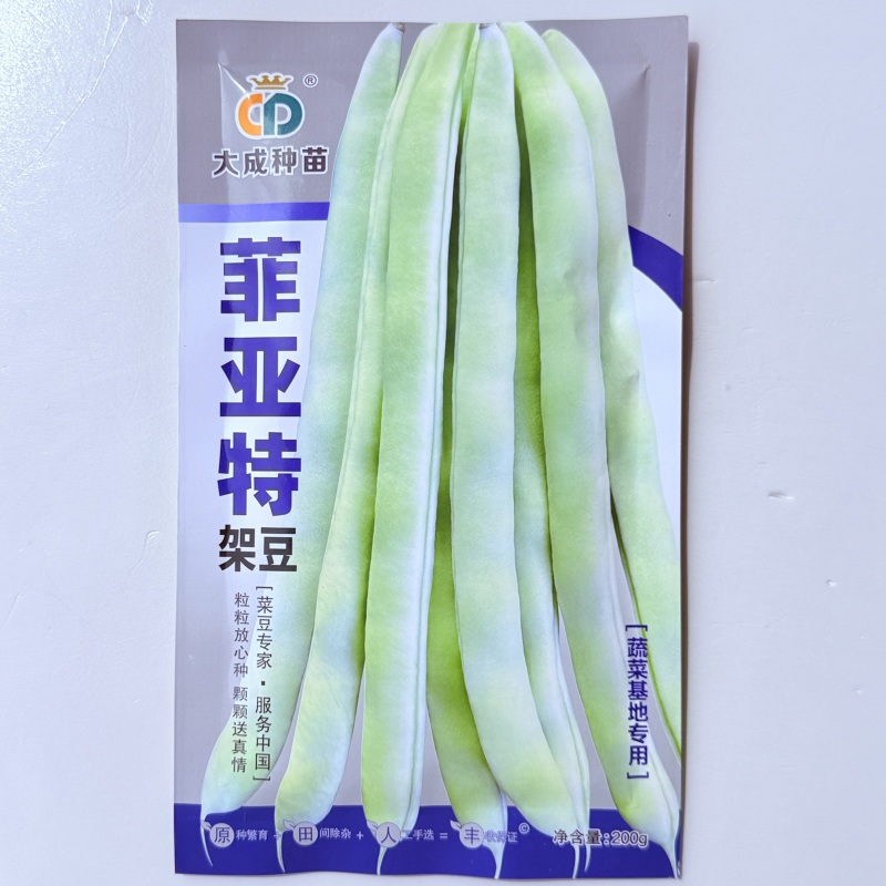 架豆种子菲亚特架豆王种子中熟蔓生白绿芸豆圆扁豆角种籽