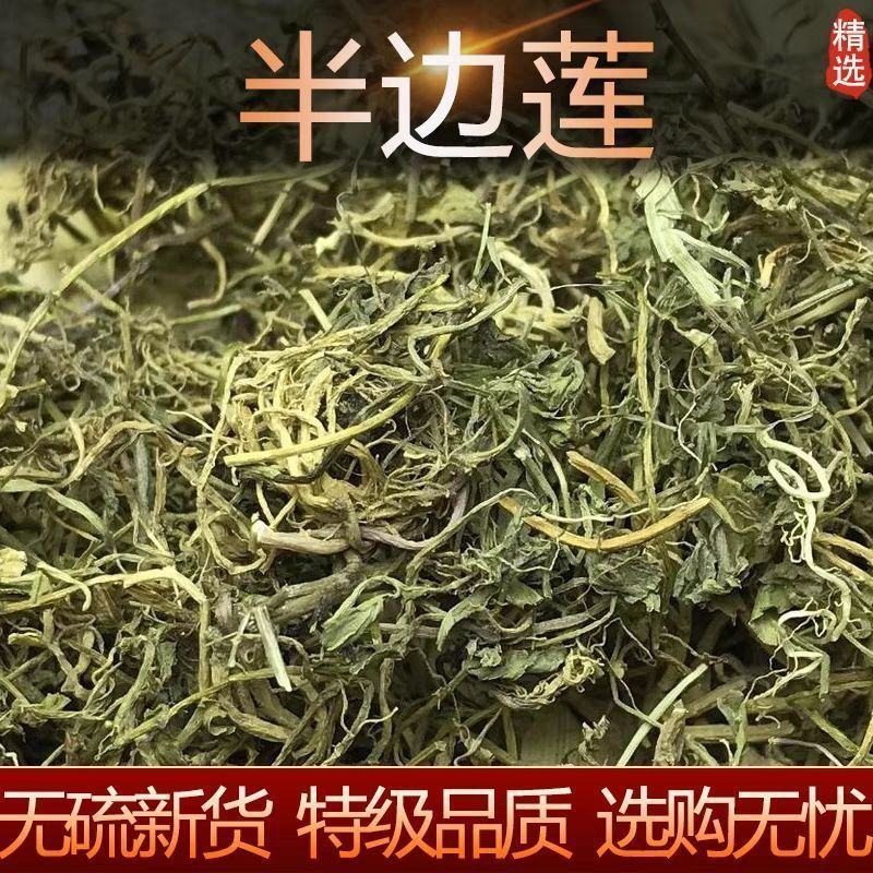 野生半边莲中药材新鲜半边莲干货半边连草半边花草药批发零售