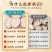 正宗深山白芍新货原色甄选农产品原色白芍泡茶泡水干货无硫