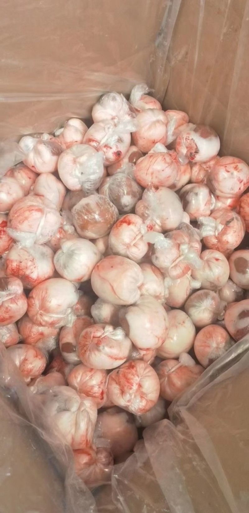 甘肃精品原油羊腰/量大从优/工厂直发/欢迎下单