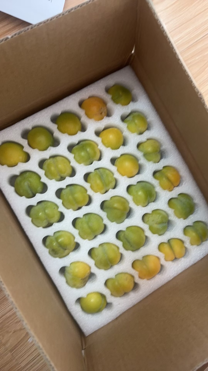 正宗蜂糖李电商供货下单秒发，商品预售，发货期六月初，需要