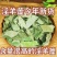 淫羊藿灸淫羊藿叶可搭配肉苁蓉枸杞菟丝子泡水单方养生茶