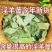 淫羊藿灸淫羊藿叶可搭配肉苁蓉枸杞菟丝子泡水单方养生茶