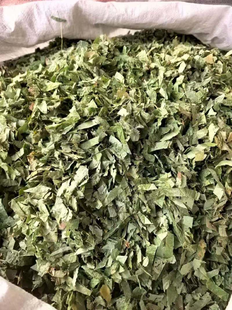 淫羊藿灸淫羊藿叶可搭配肉苁蓉枸杞菟丝子泡水单方养生茶
