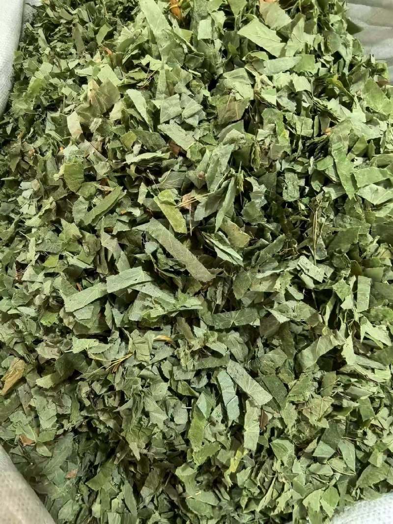淫羊藿灸淫羊藿叶可搭配肉苁蓉枸杞菟丝子泡水单方养生茶