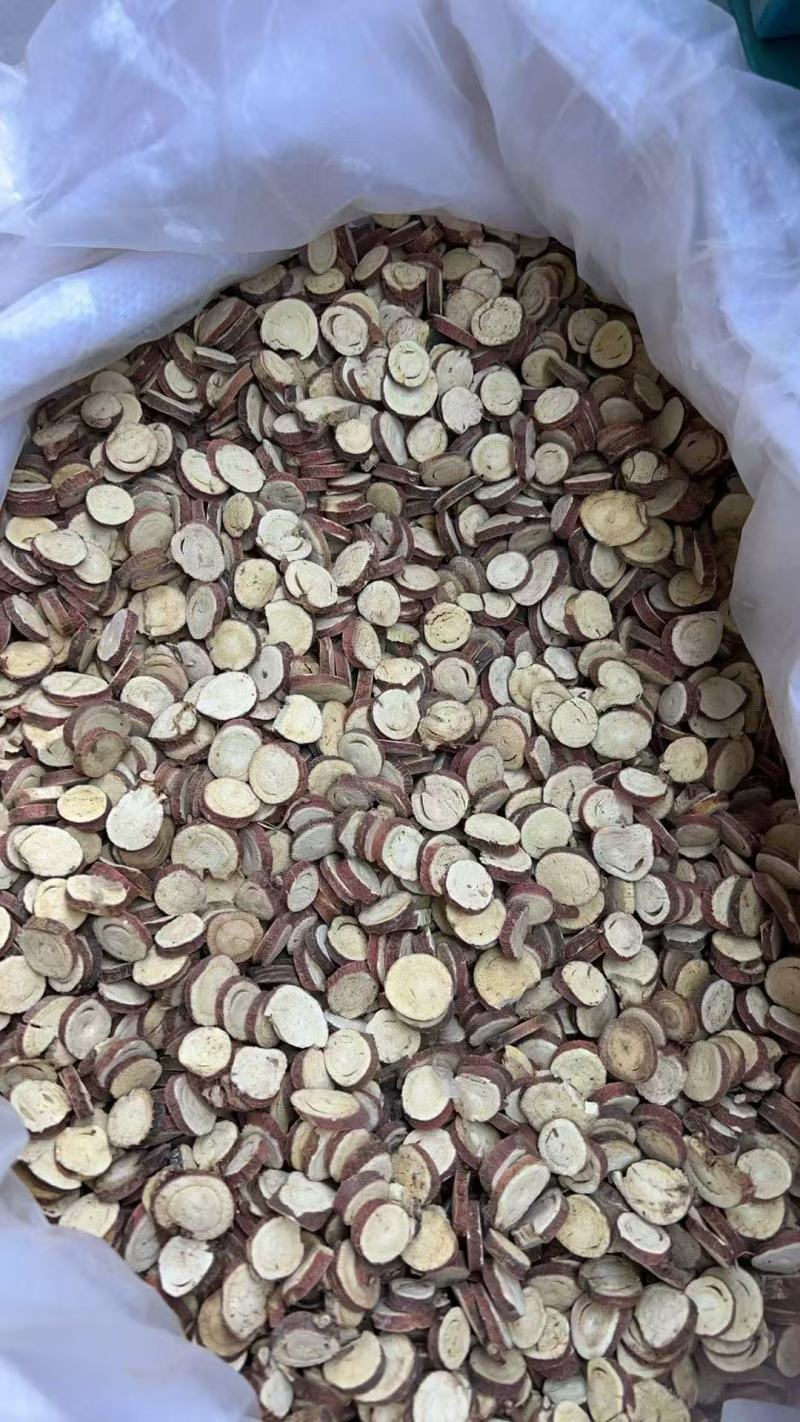 新疆红皮甘草沙漠生野圆片西草乌拉尔甜草根苗新货