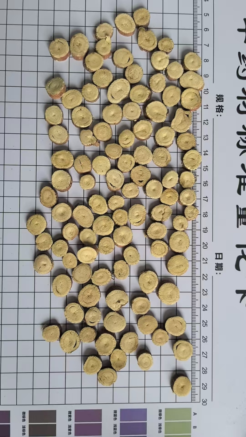 新疆红皮甘草沙漠生野圆片西草乌拉尔甜草根苗新货