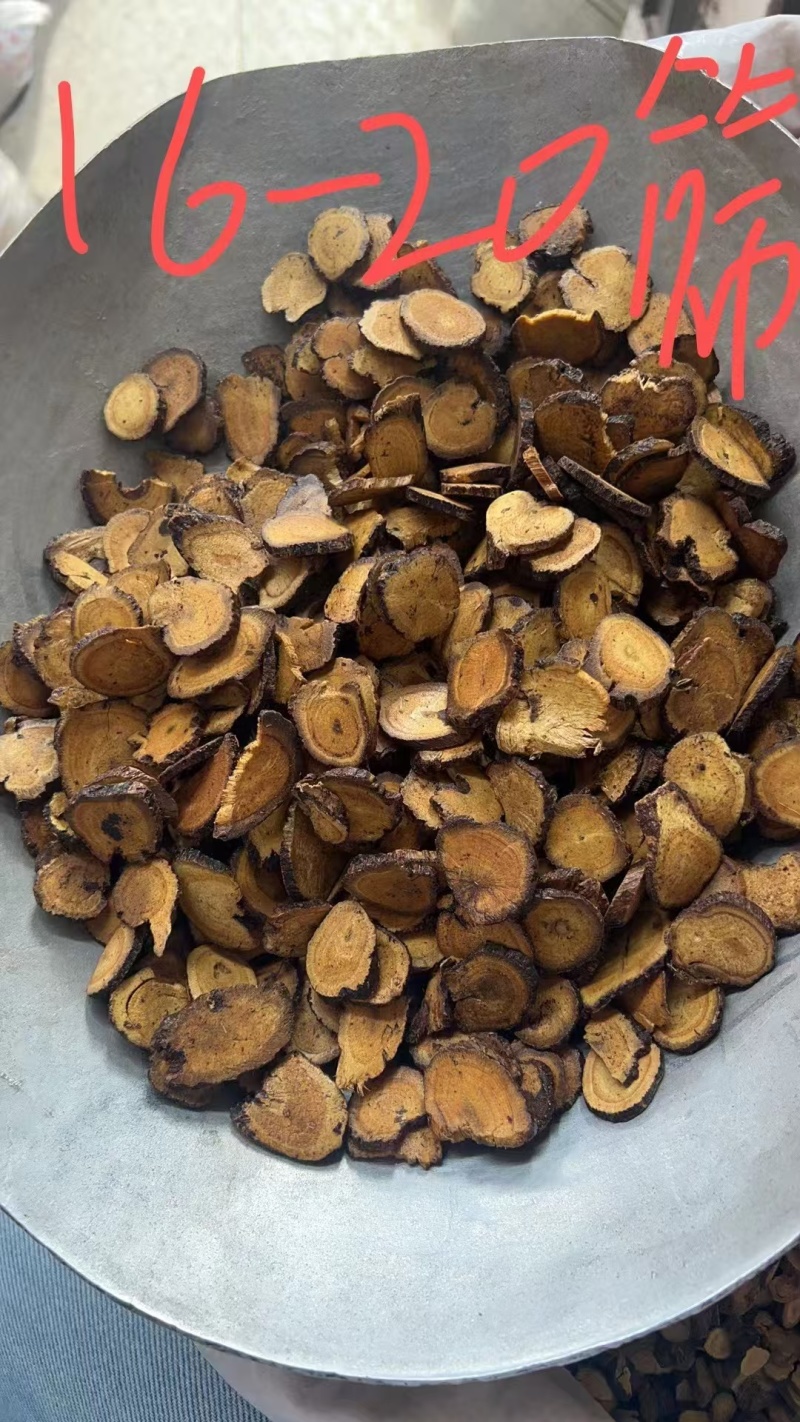 新疆红皮甘草沙漠生野圆片西草乌拉尔甜草根苗新货