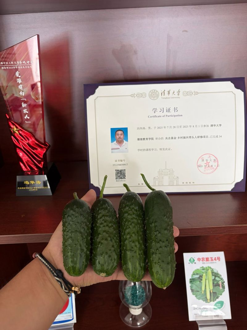 俄罗斯黑玛莎黄瓜