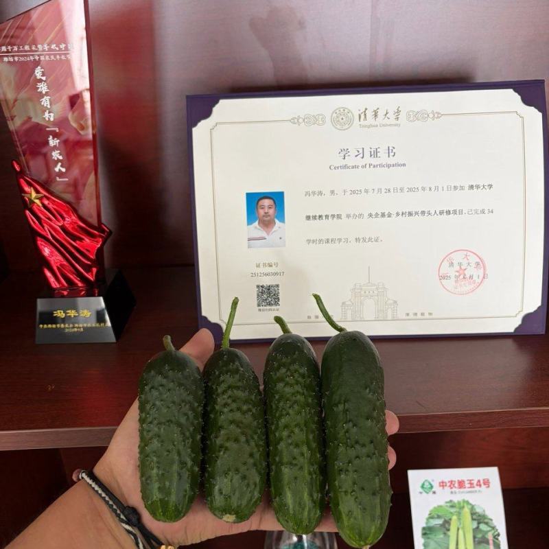 俄罗斯黑玛莎黄瓜