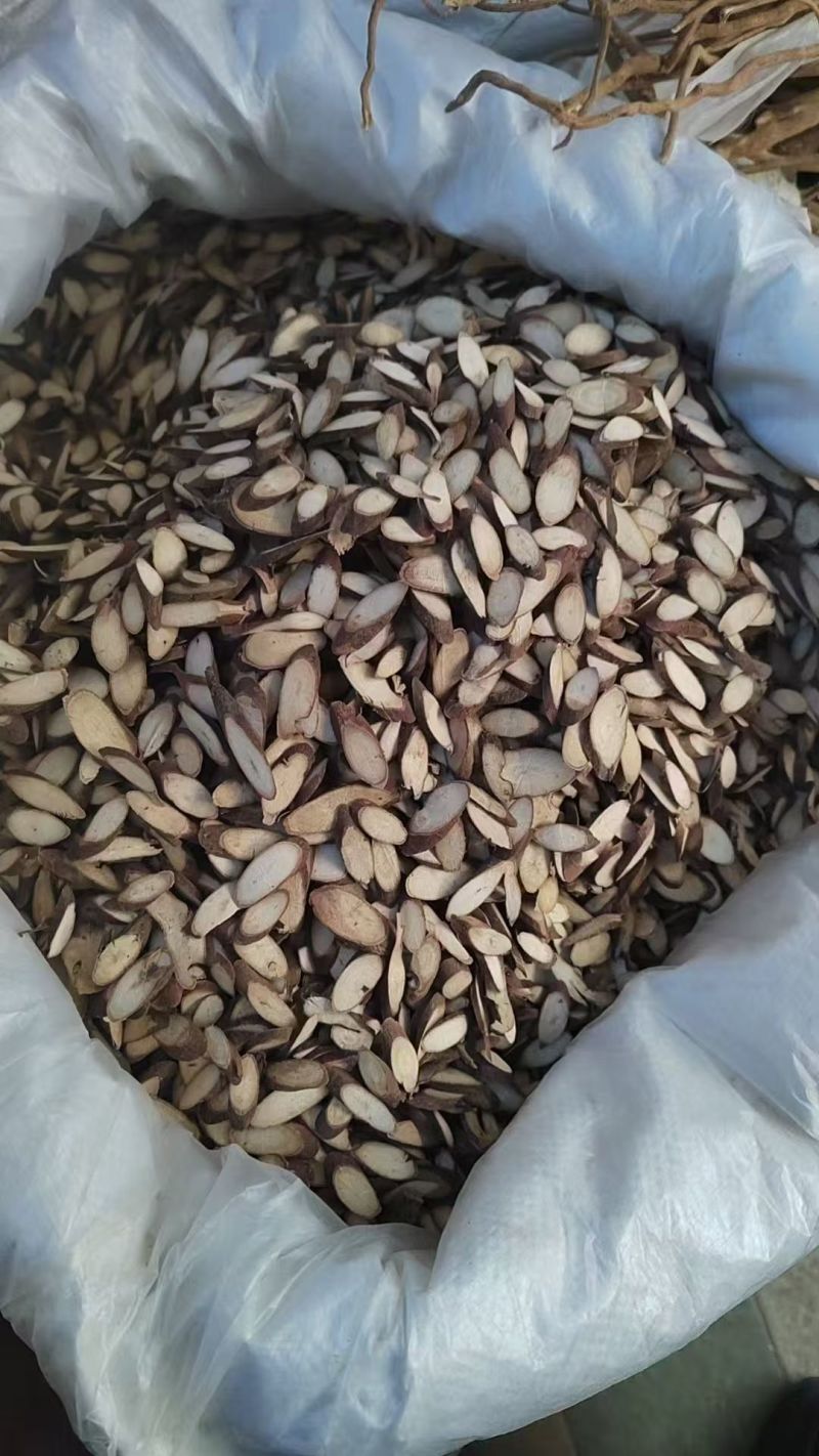 黑皮千斤拔片