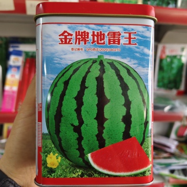 金牌地雷王西瓜种子抗病耐湿不裂果皮薄大红瓤西瓜种子