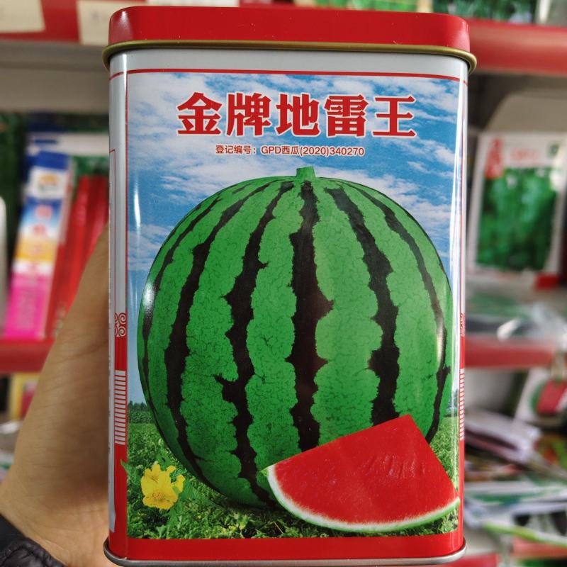 金牌地雷王西瓜种子抗病耐湿不裂果皮薄大红瓤西瓜种子