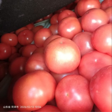 产地直销