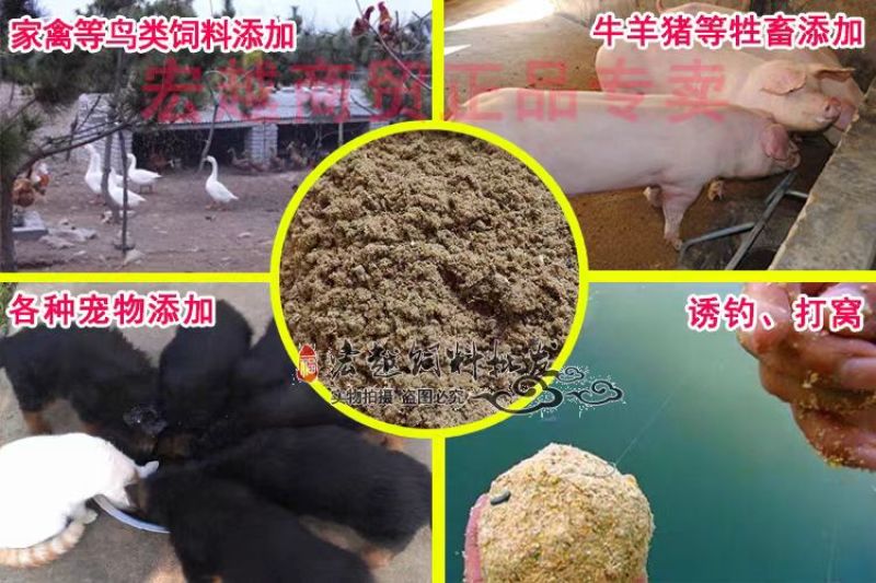 鱼粉/国产鱼粉/淡水高蛋白/厂家直发，欢迎来电。量大价优
