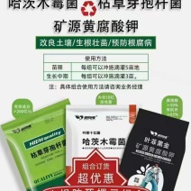 哈茨木霉菌、枯草芽孢杆菌、矿源黄腐酸3件套生根防根腐烂根