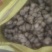 沙姜新鲜现挖广东湛江茂名特产山奈白切鸡椰子鸡调配料老姜可种苗