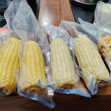 滨州鲜食玉米大量现货，大量供应，支持一件代发，品质保证