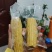 滨州鲜食玉米大量现货，大量供应，支持一件代发，品质保证