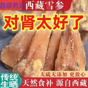 藏雪参正品西藏特产雪参大条新货血参煲鸡汤泡酒玉人参