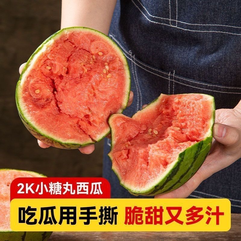 小吊瓜薄皮瓜小糖丸西瓜已上市价格合理，可视频看货全国发货