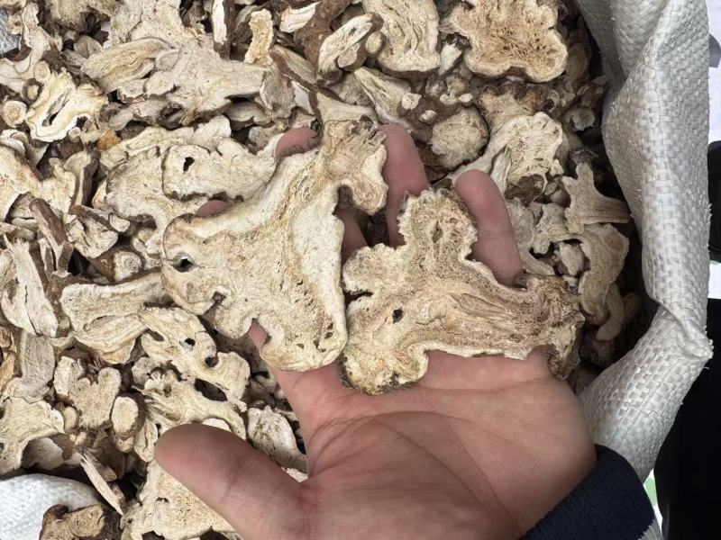 白术片正宗中药材浙白术粉生白术炒白术灸白术茶新货包邮