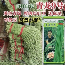 豇豆种子青龙9号长豆角种籽绿条长豇豆种子肉厚耐热耐湿豆角