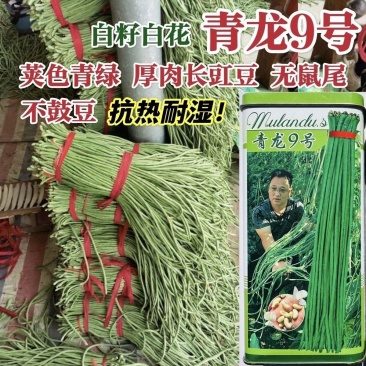 豇豆种子青龙9号长豆角种籽绿条长豇豆种子肉厚耐热耐湿豆角