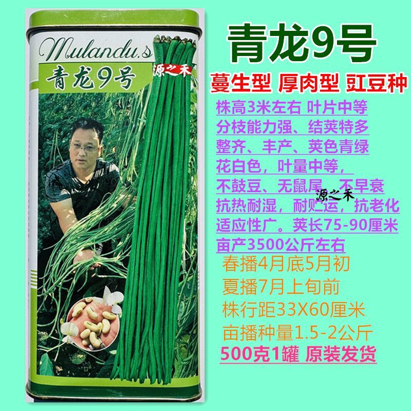 豇豆种子青龙9号长豆角种籽绿条长豇豆种子肉厚耐热耐湿豆角