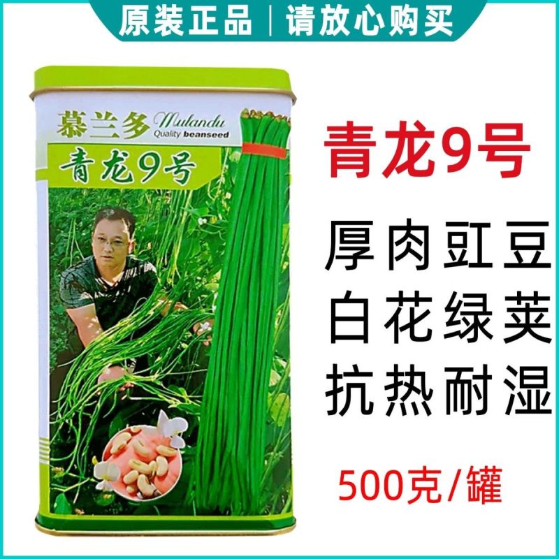 豇豆种子青龙9号长豆角种籽绿条长豇豆种子肉厚耐热耐湿豆角