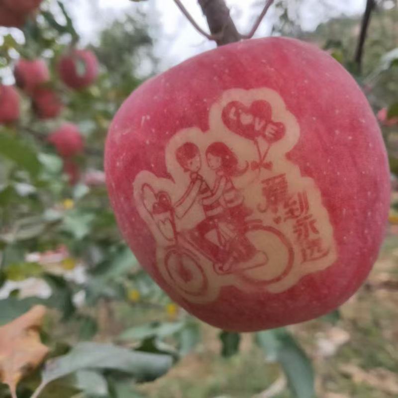 静宁红富士