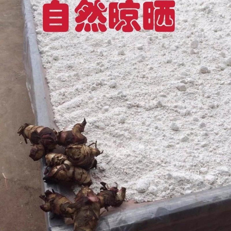 四川芭蕉芋淀粉/产区直发/货源充足/大量有货/欢迎大量
