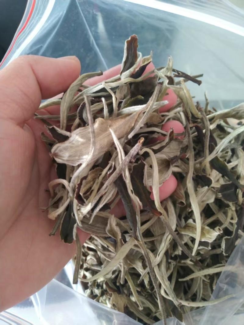 云南月光白茶，全国发货，品质保证，可对接电商商超等，量大从优