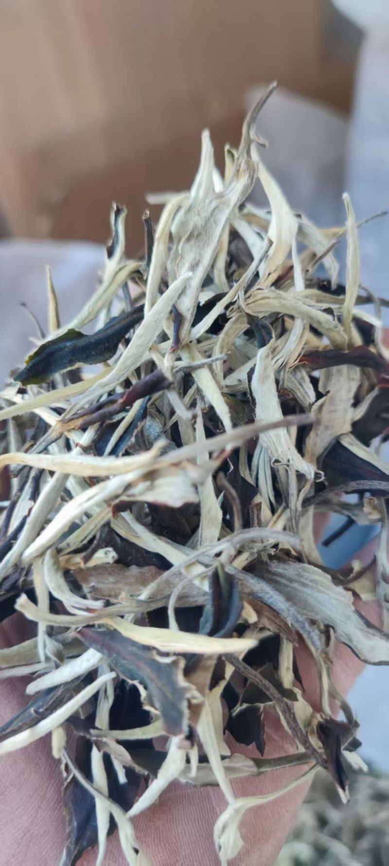 云南月光白茶，全国发货，品质保证，可对接电商商超等，量大从优