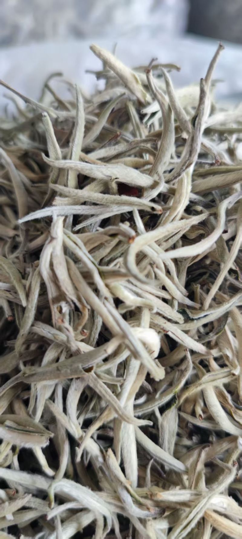 云南普洱白毫银针，诚信经营，量大从优，保质保量，欢迎选购