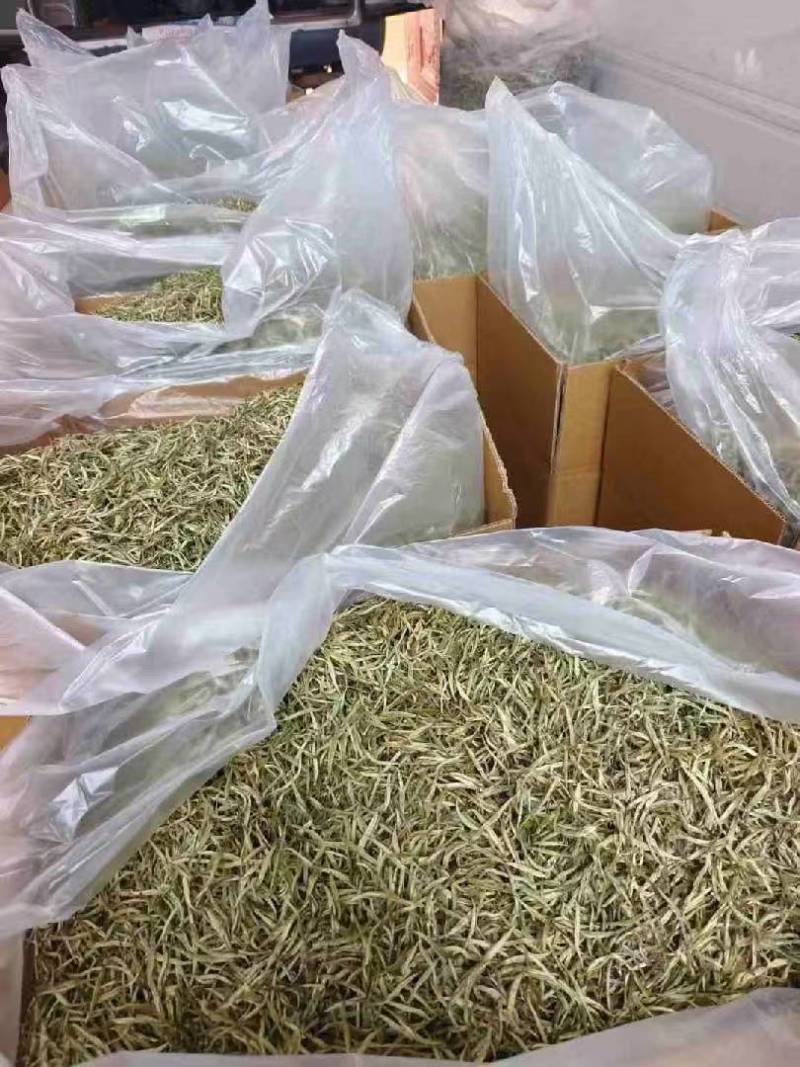 云南普洱白毫银针，诚信经营，量大从优，保质保量，欢迎选购