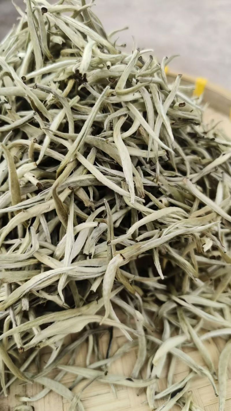 云南普洱白毫银针，诚信经营，量大从优，保质保量，欢迎选购