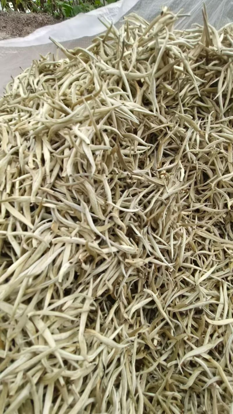 云南普洱白毫银针，诚信经营，量大从优，保质保量，欢迎选购