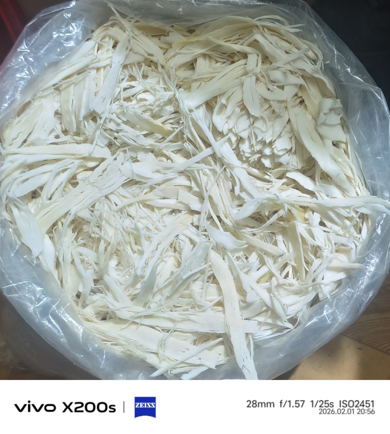 干竹笋