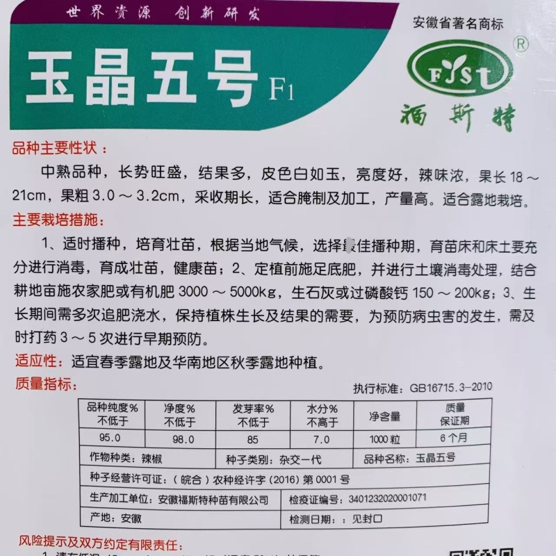 玉晶五号辣椒种子中熟白玉泡椒种籽辣味浓春秋露地腌制加工
