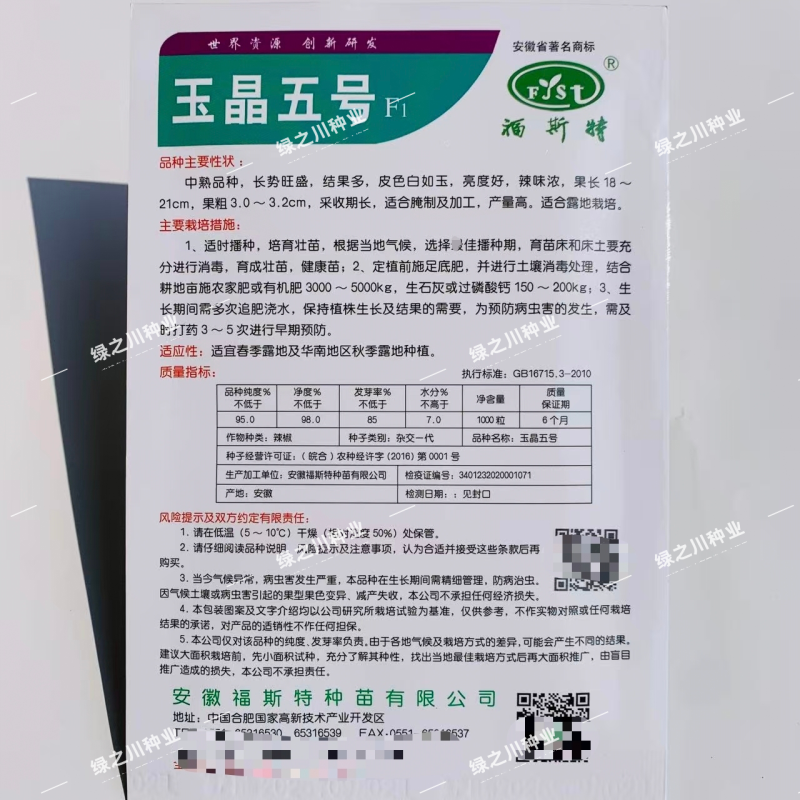 玉晶五号辣椒种子中熟白玉泡椒种籽辣味浓春秋露地腌制加工