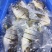 拉花金鲳鱼，可以定做6/7成鱼干