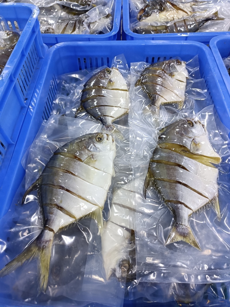 拉花金鲳鱼，可以定做6/7成鱼干