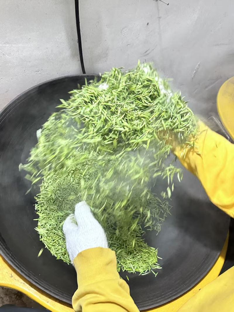 都匀毛尖手工团山茶