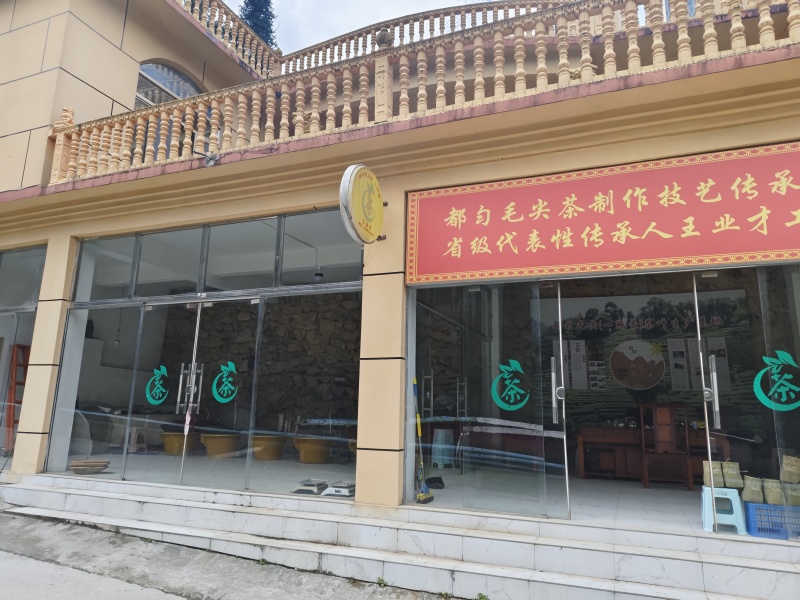 都匀毛尖手工团山茶