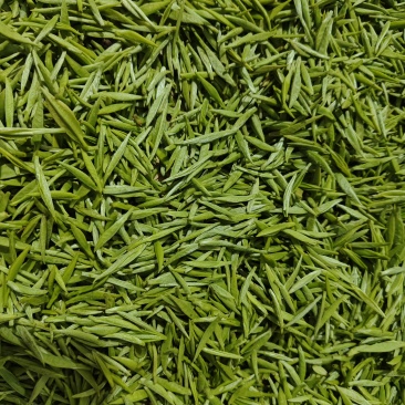 都匀毛尖手工团山茶