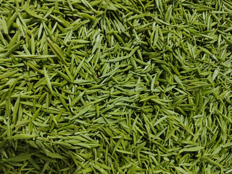 都匀毛尖手工团山茶
